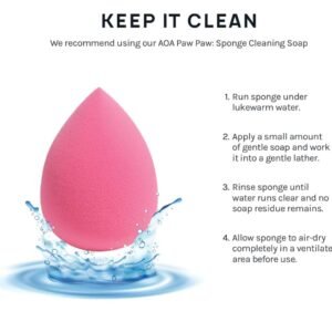 Hoiypad Collection makeup Sponge Set Latex Free and High-definition Set of 6 makeup Wonder blender For Powder Cream and Liquid, Super Soft Beauty Cosmetic